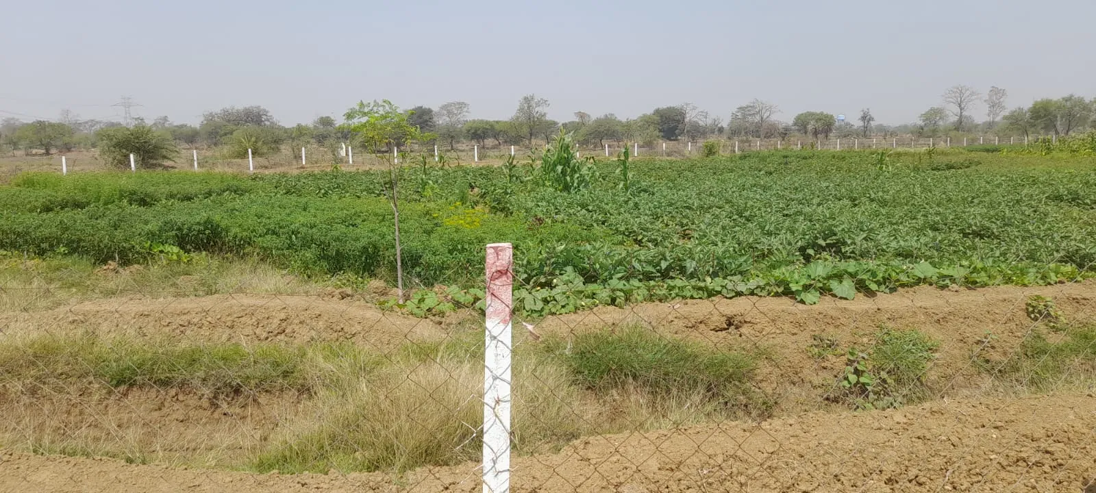 Chattisgarh Ajeevika Mission