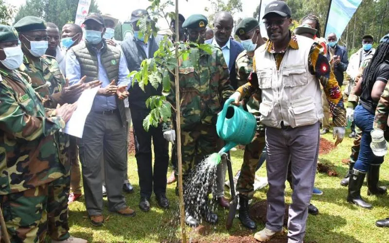  15 billion trees in Kenya