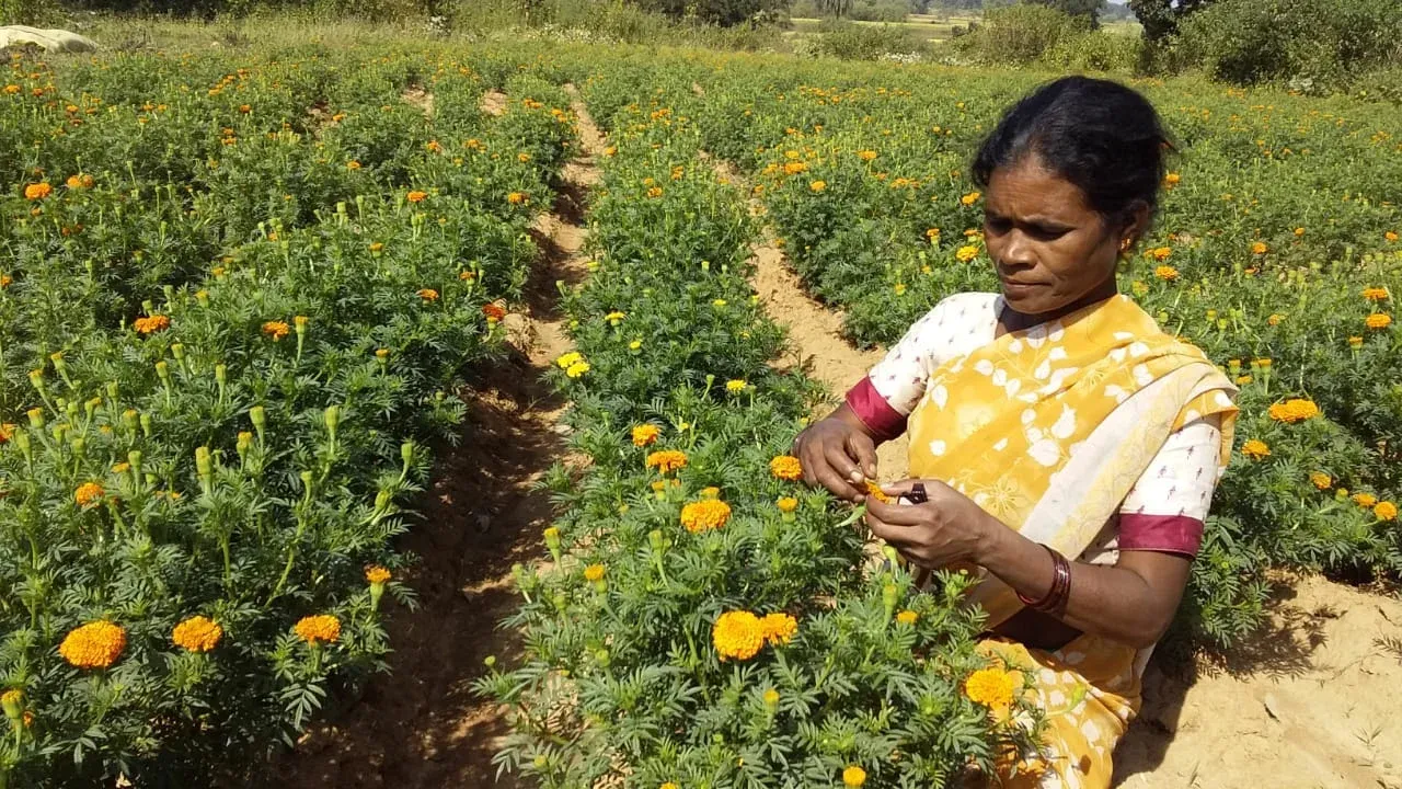 rural women 