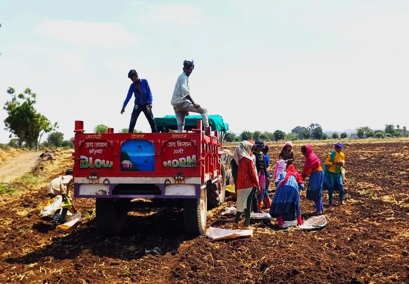 ginger badwani tractor