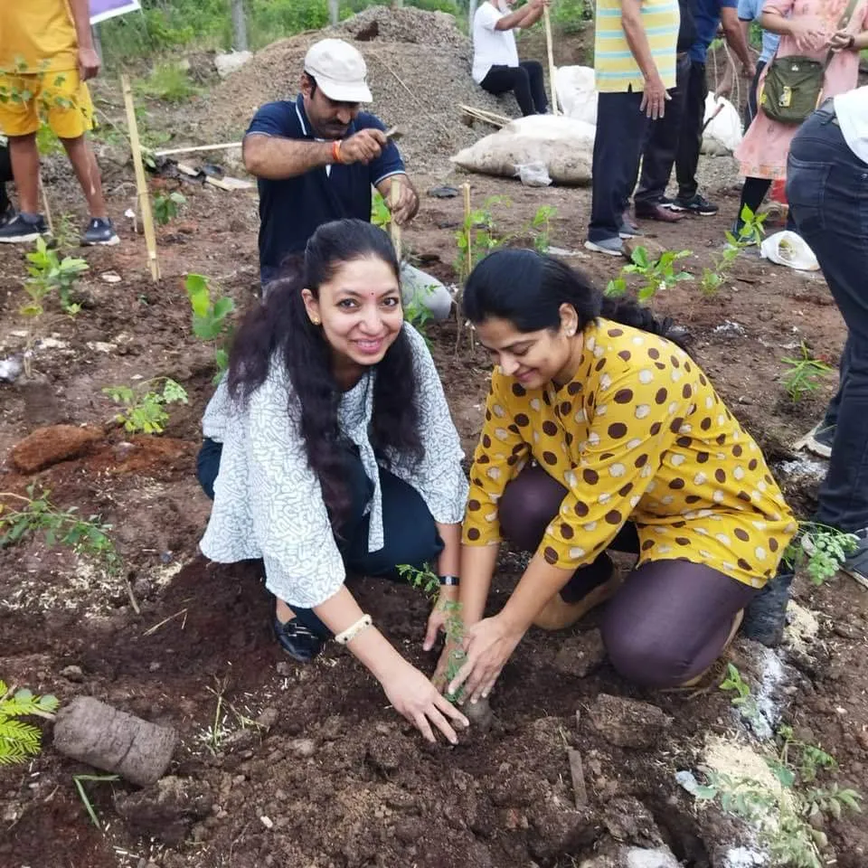 eye doctors plantation