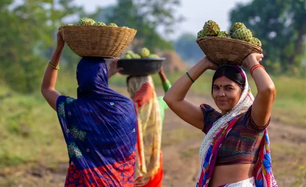 shg rajasthan madhya pradesh