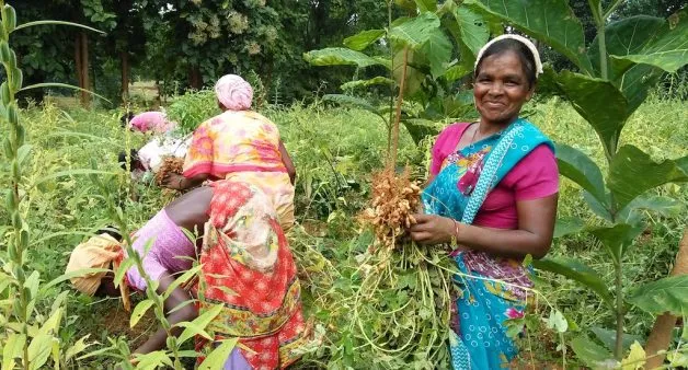 organic farming women india