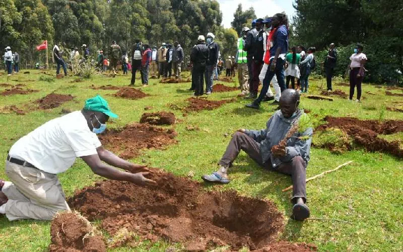  15 billion trees in Kenya