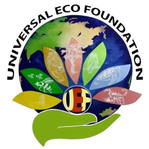 universal eco foundation