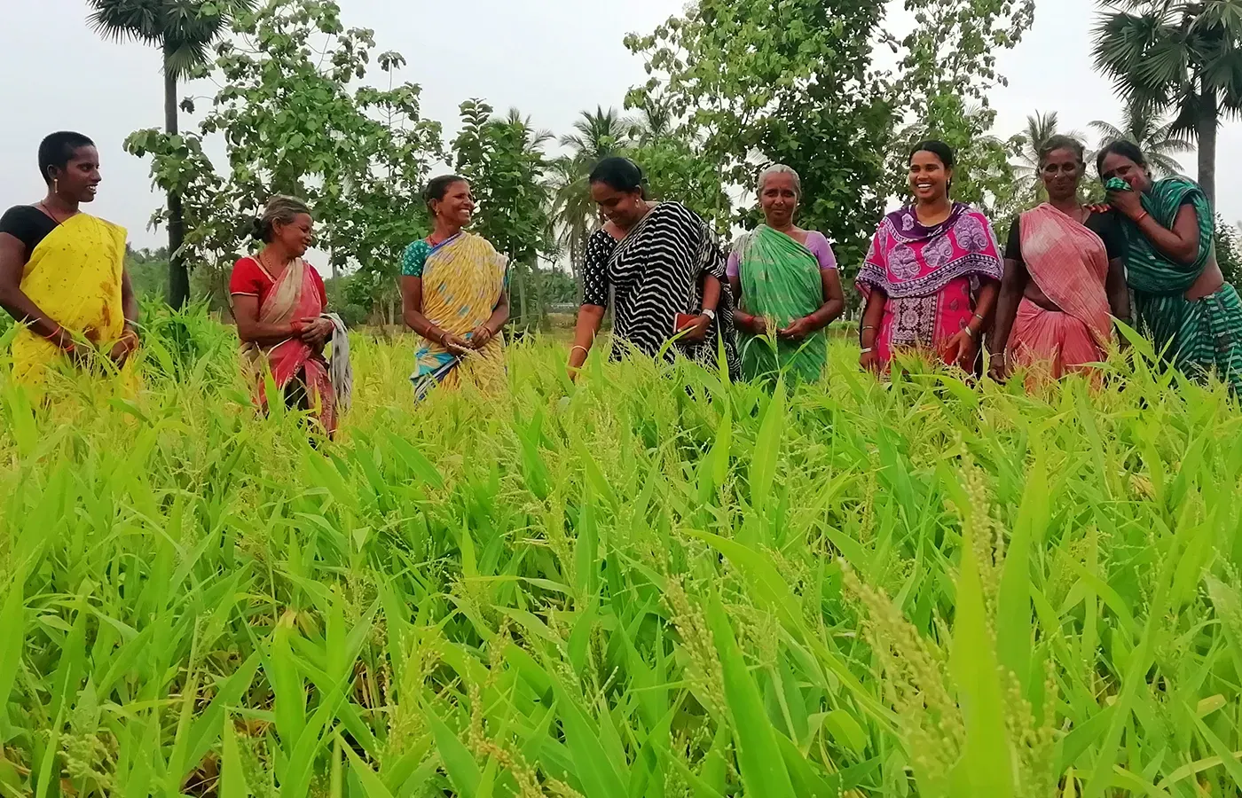 women farmer