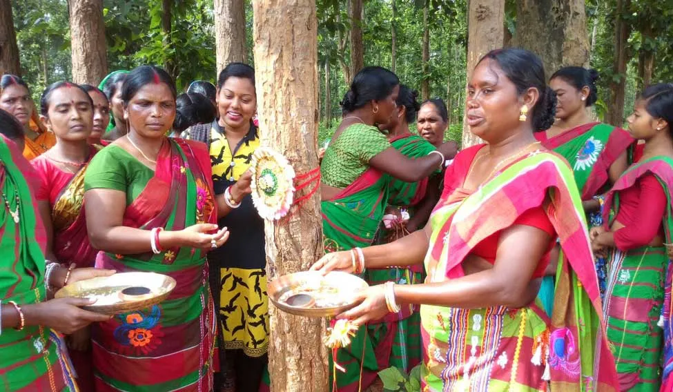 Women Protecting forest news