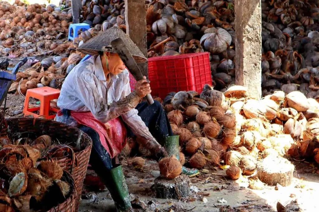 Women making Cocopeat