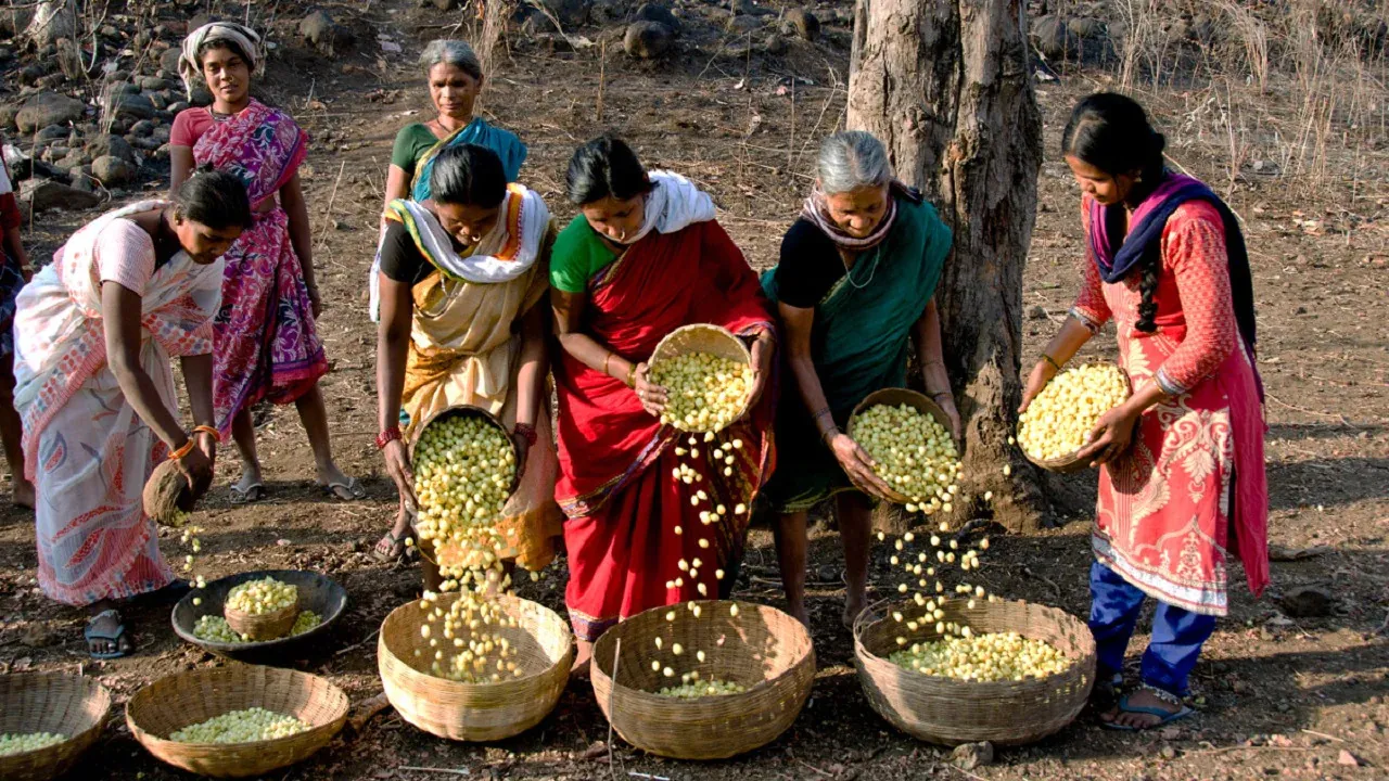 mahua unit