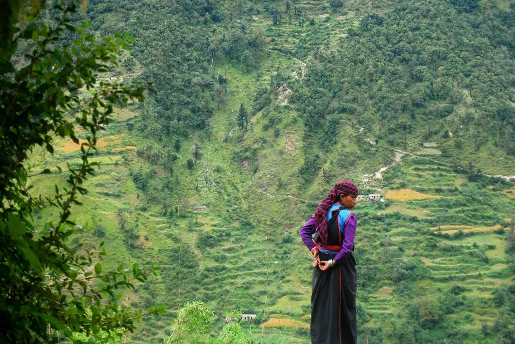 uttarakhand chipko movement  