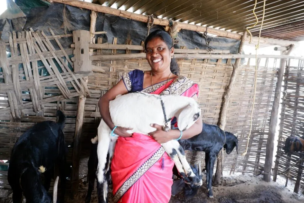 Ambuja Cement empowering women in Chandrapur