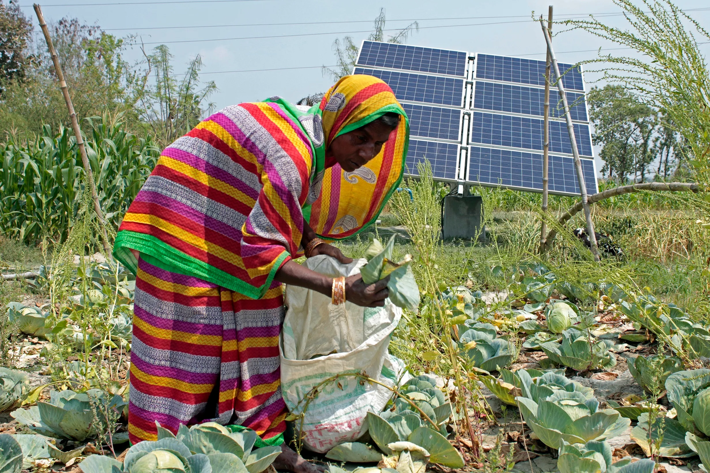 walmart grant supporting climate resilient farming