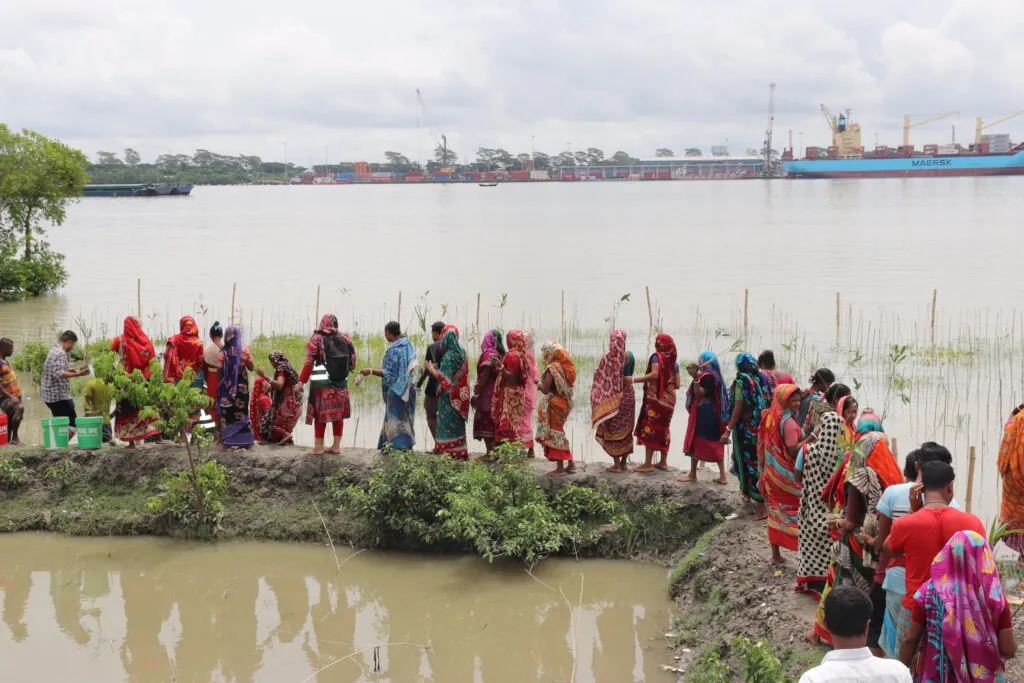 Mangrove Plantation to save Sunderbans