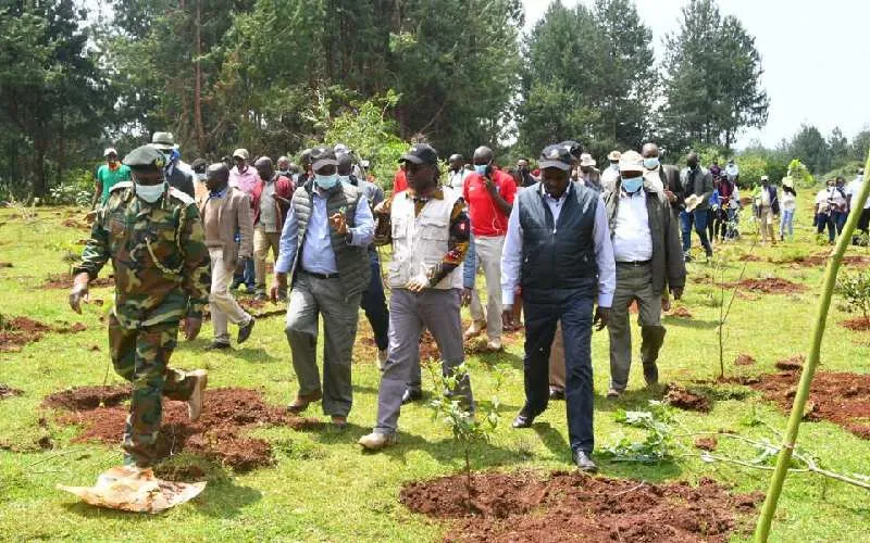  15 billion trees in Kenya