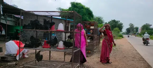 jhabua kadaknath