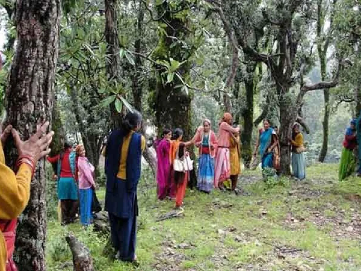 Women Saving Forest News