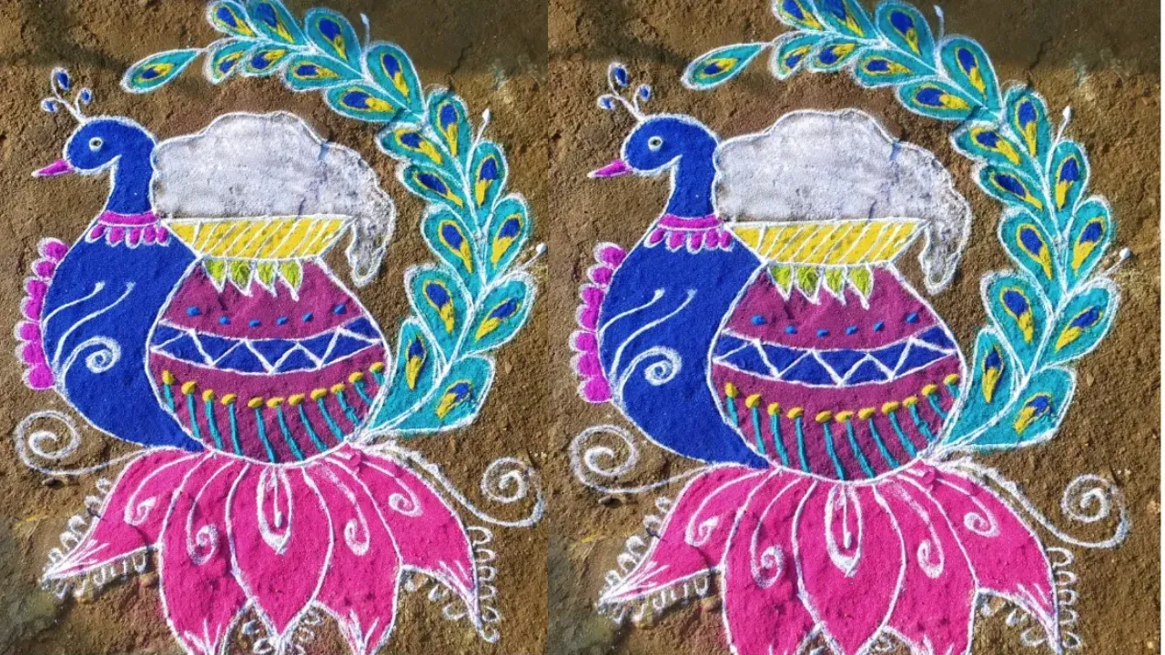 Sankranti muggu  