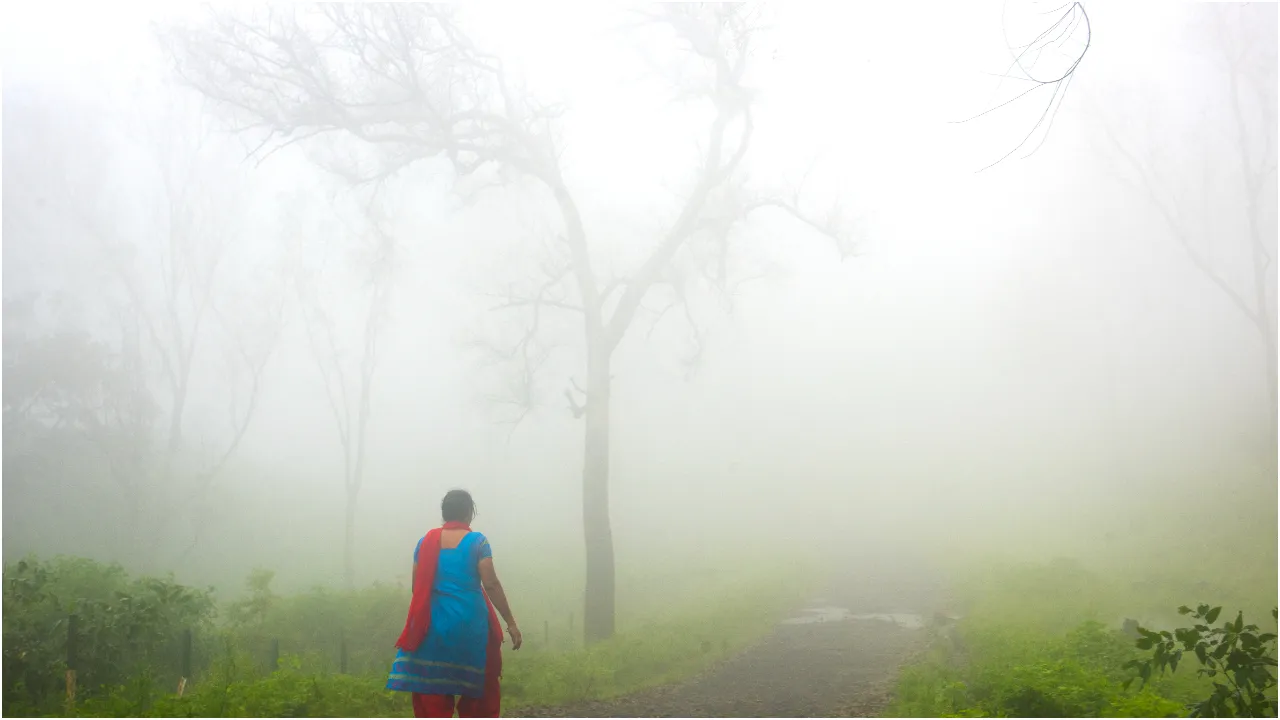 fog telangana
