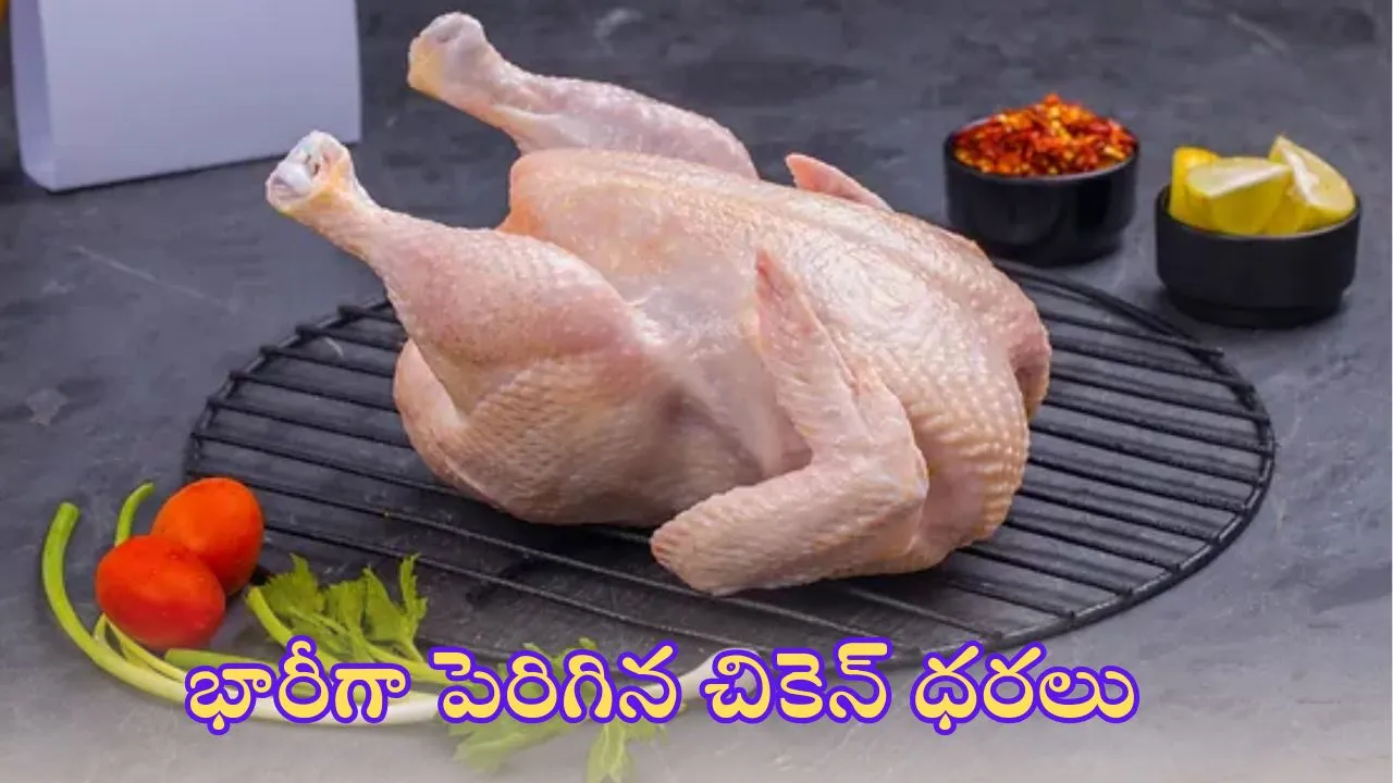 Chicken prices increased in Telangana Today 