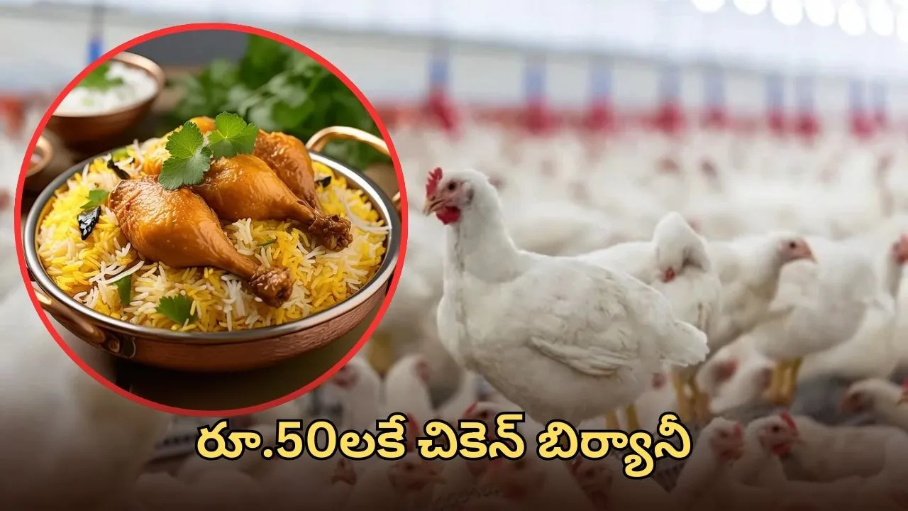 bird flu in hyderabad chicken prices drop rs 100 per kg and biryani only rs 50