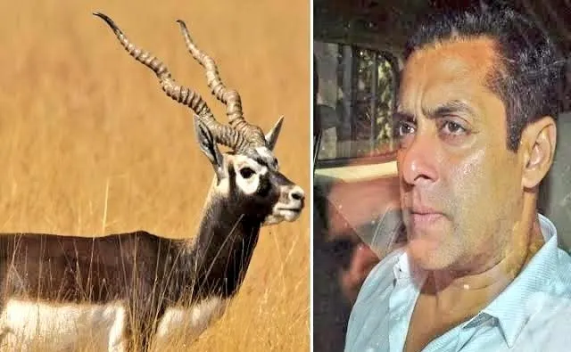 salman