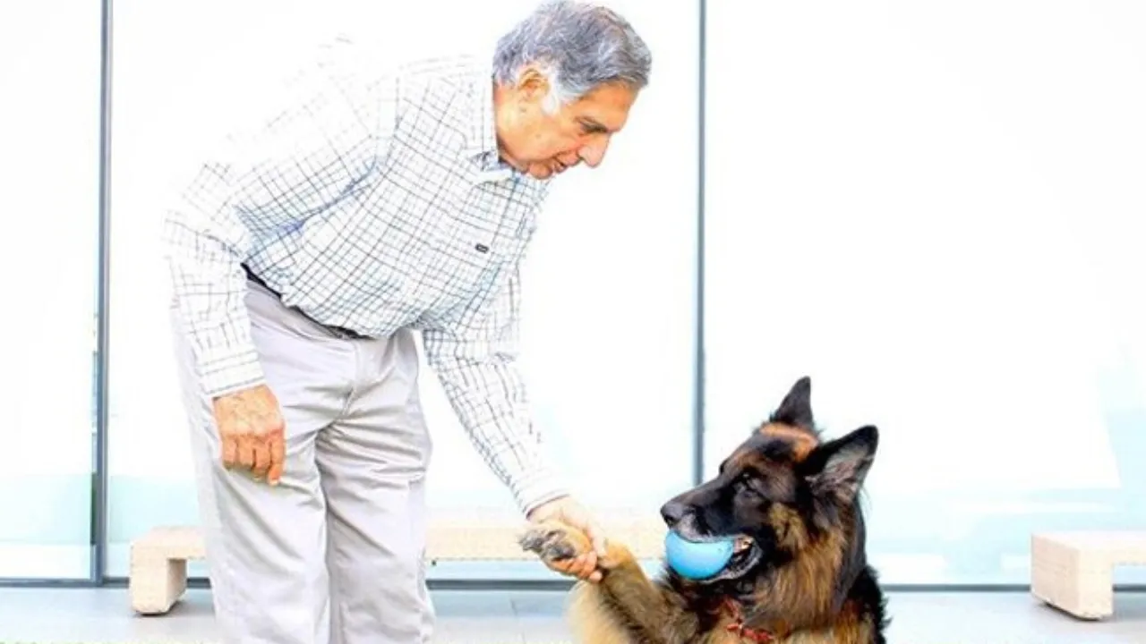 ratan tata dogs