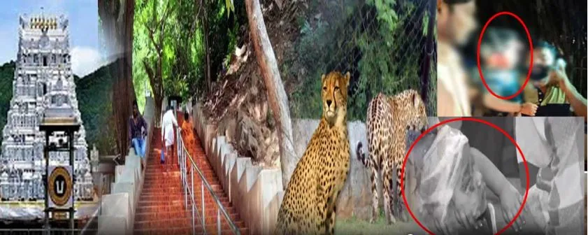 TTD EO inspected the area where the boy was attacked<br />
