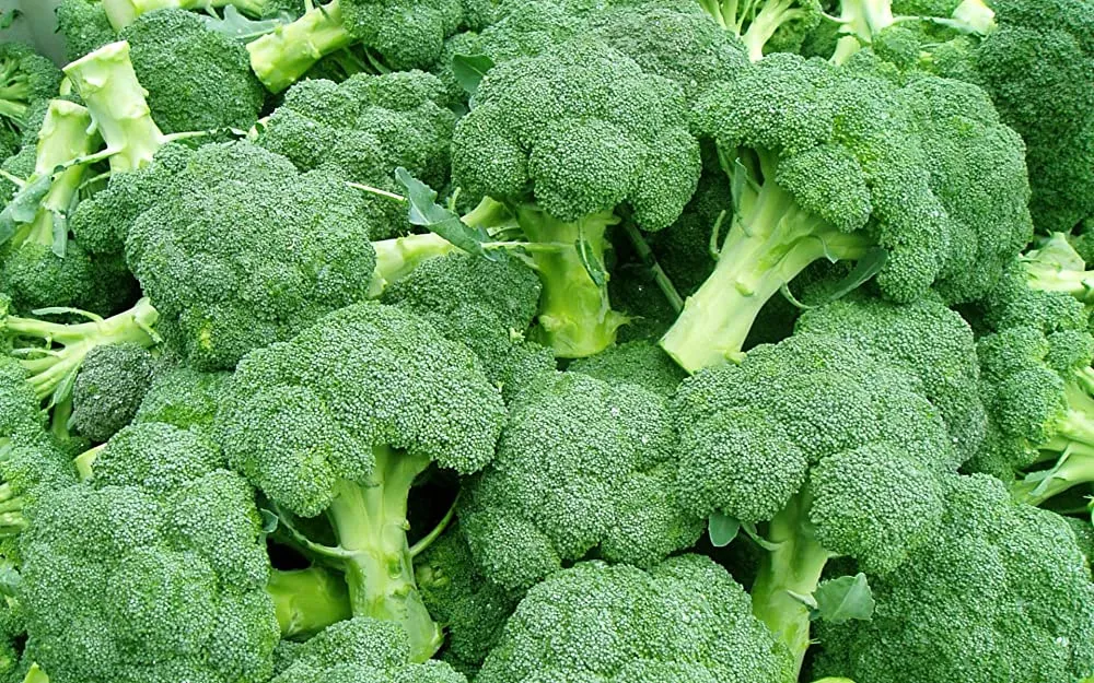 Broccoli Health Benefits