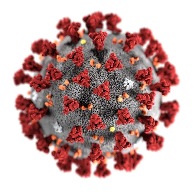 international-intl-top-news-biological-terrorism-china-engineered-covid-19-bio-weapon-to-purposely-infect-people-reveals-wuhan-researcher