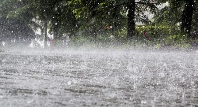It is raining all over Srikakulam district