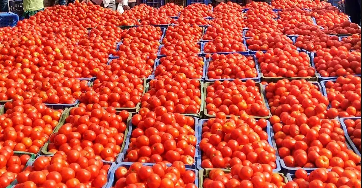 Oh tomato how much work you have done..you know you have separated the couple