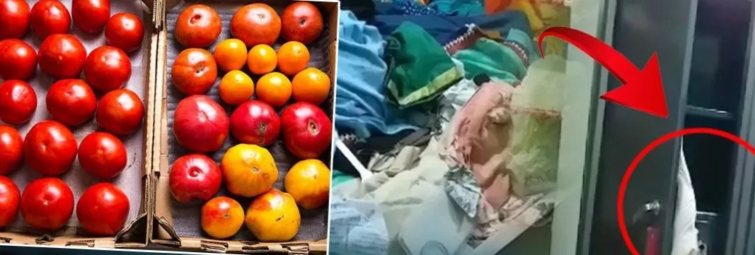 The threat of thieves in Bodan..even the tomatoes in the fridge cant be left 