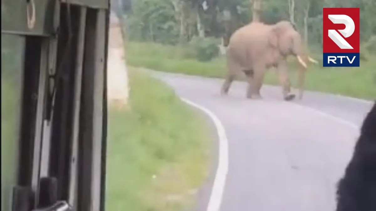 karnataka-state-bus-attacked-elephant-video-viral 