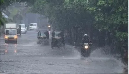 West Godavari farmers towards crop holiday<br />
