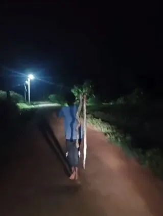 When it gets dark in Kakinada district venomous snakes enter the roads