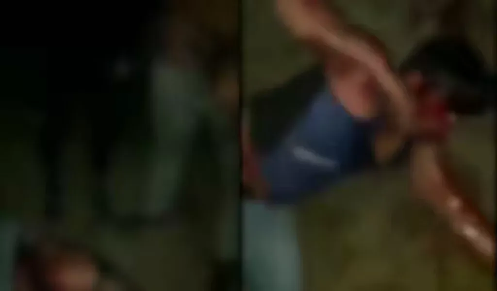 publive-image