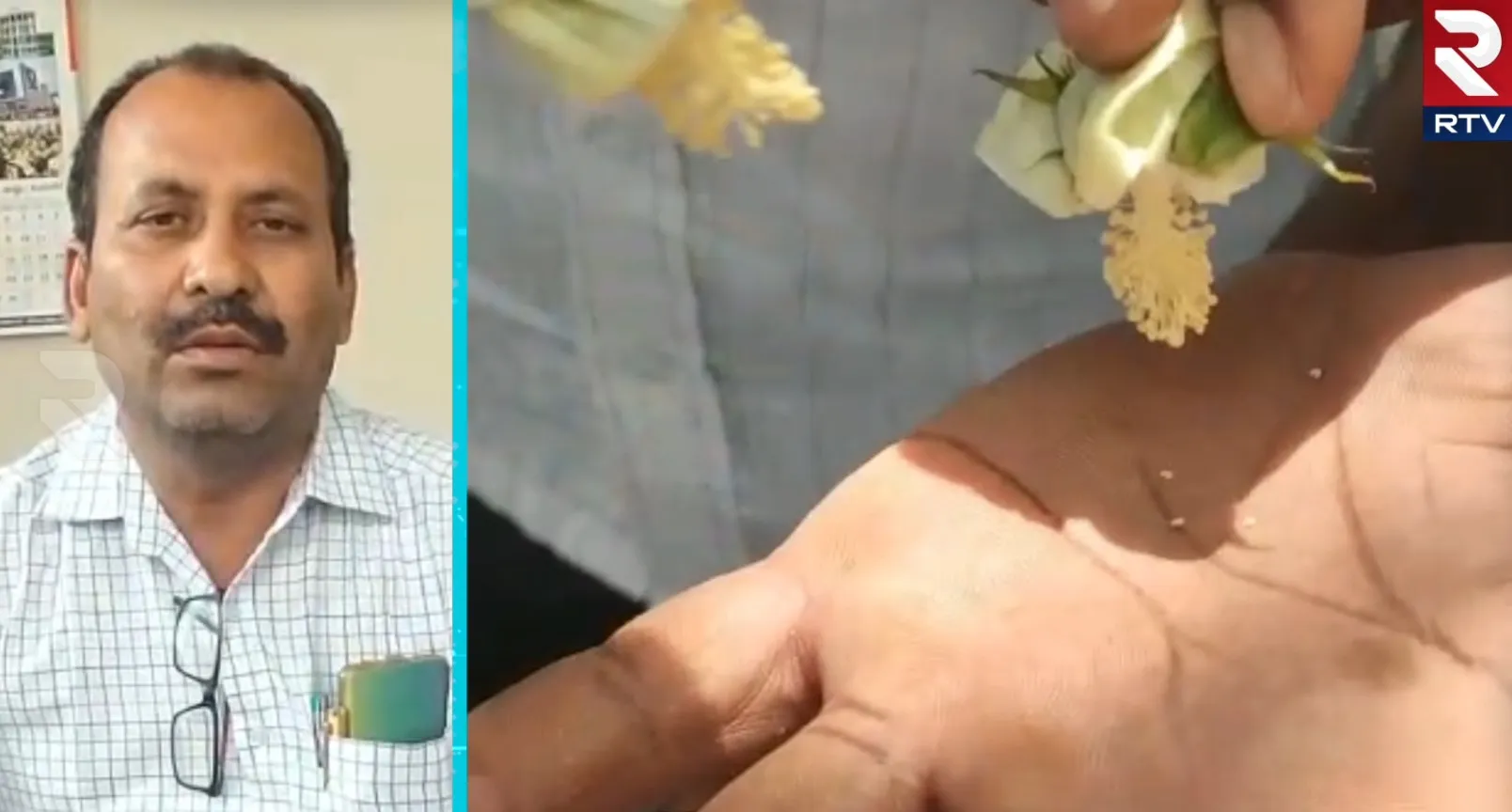 jogulamba-gadwal-district-cotton-farmer-lossed-sun-light-facing-many-problems