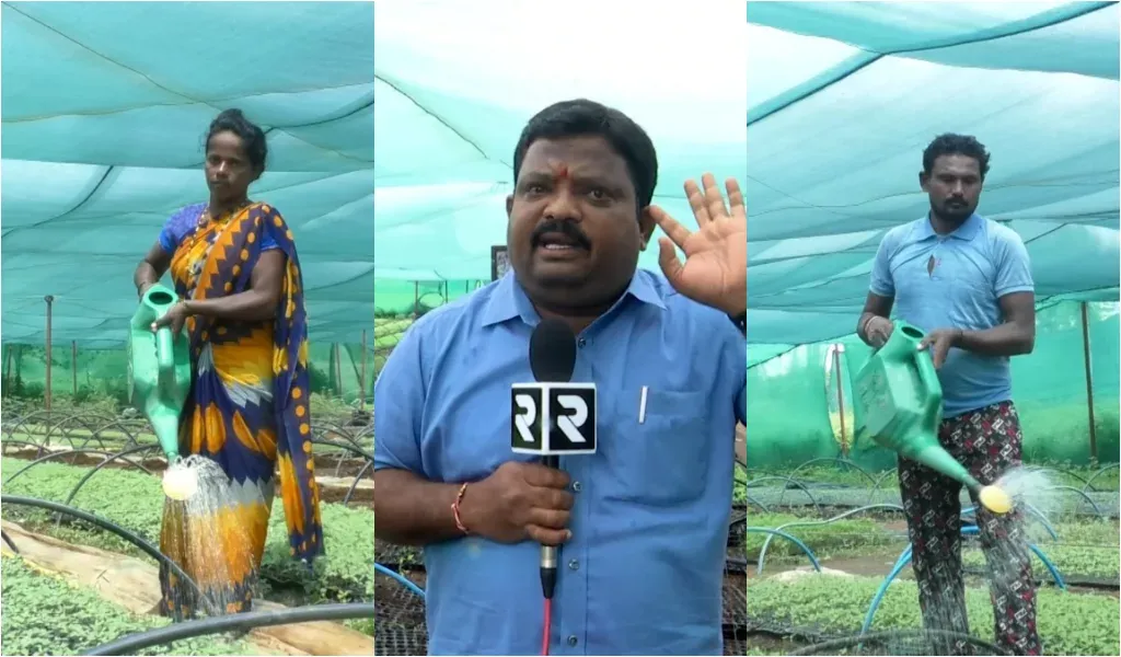 Nurseries are a boon to farmers.. A couple doing good by growing fiber