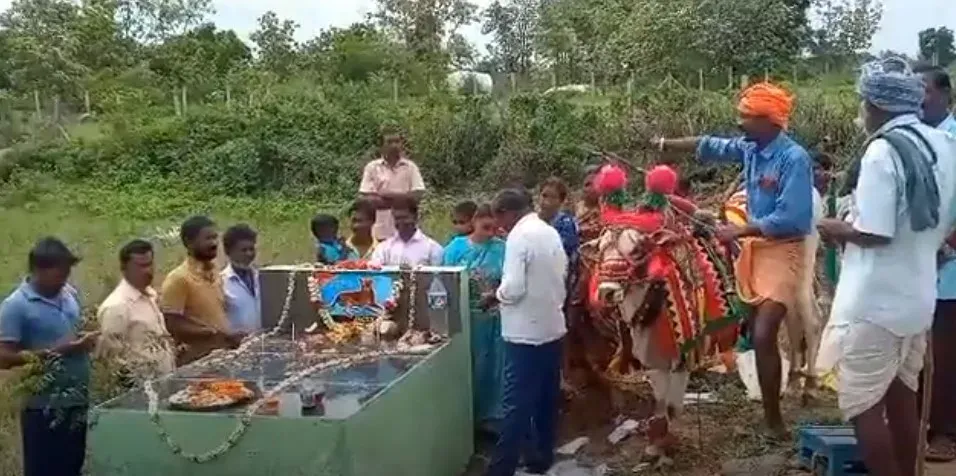 telangana-viral-news-pet-dog-owner-from-mahabubabad-district-built-grave-for-pet-dog-video