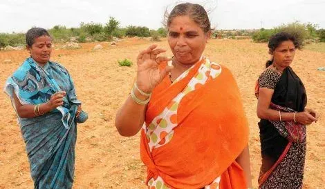 telugu-news-viral-news-andhra-pradesh-diamond-found-kurnool-district