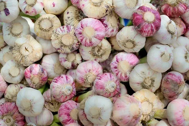 Roasted garlic (1)