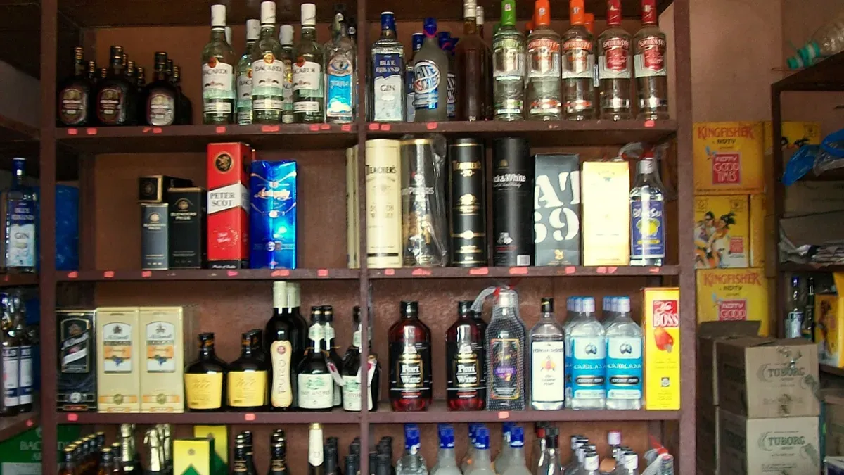 publive-image