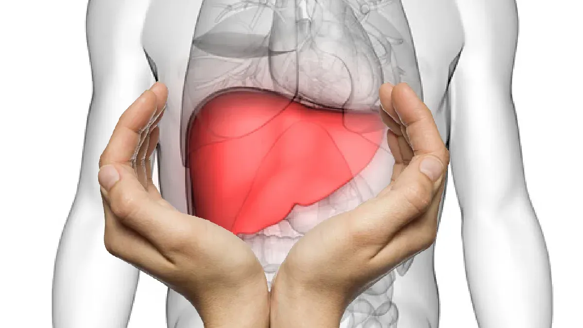 Liver Health