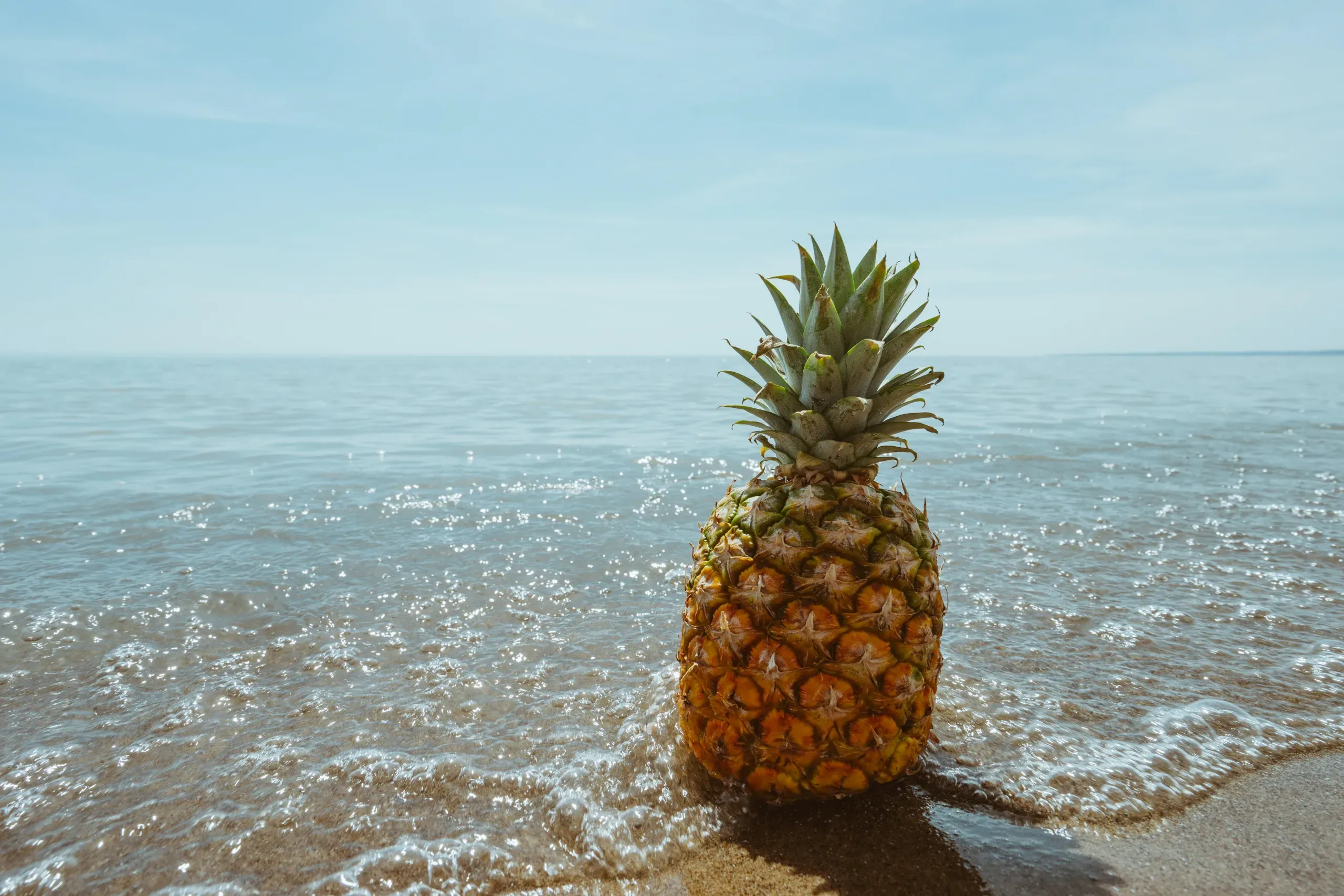 Pineapple beauty (7)