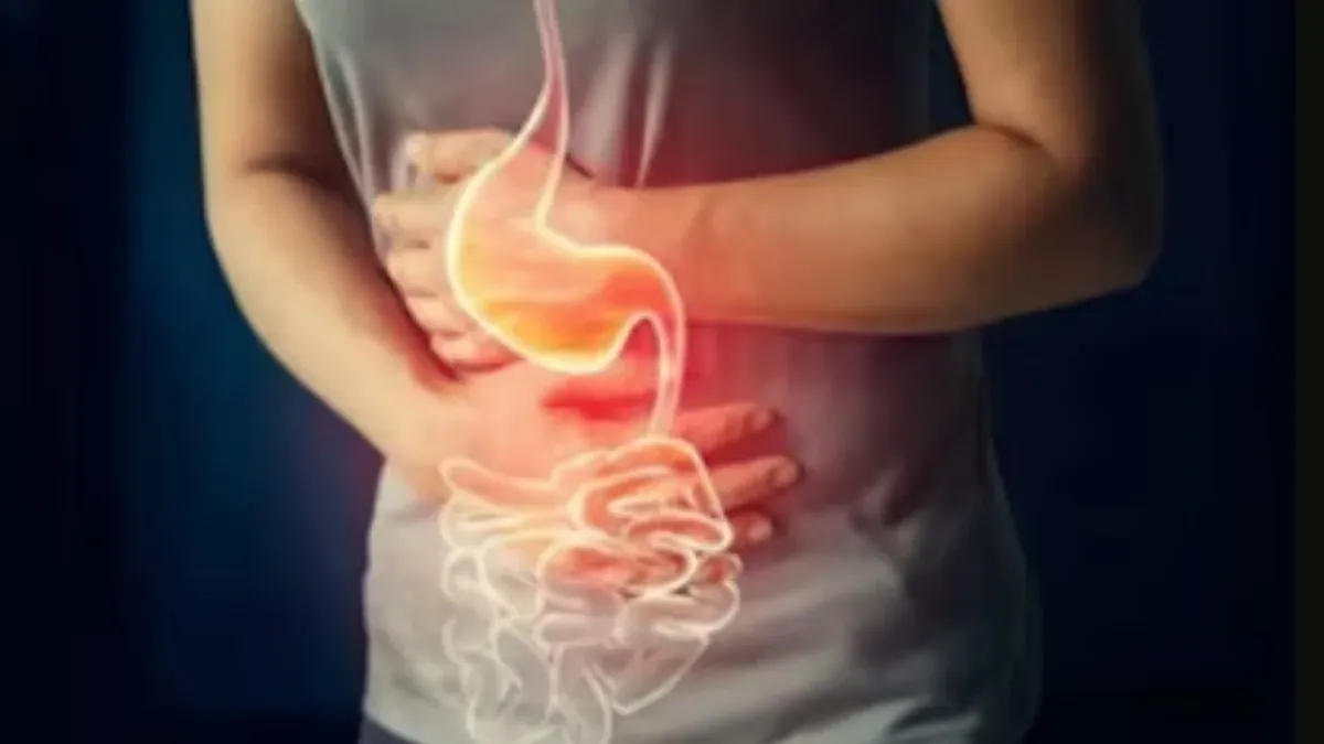 Digestive System