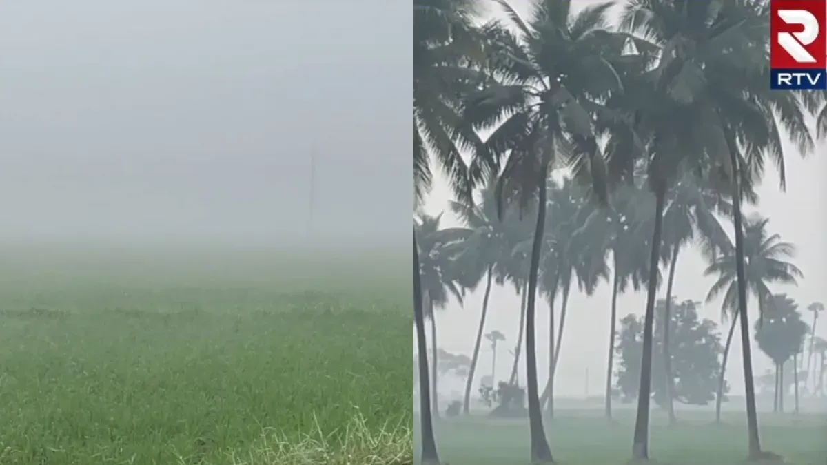 Snow Fall Effect - Nature @GodavariDistrict