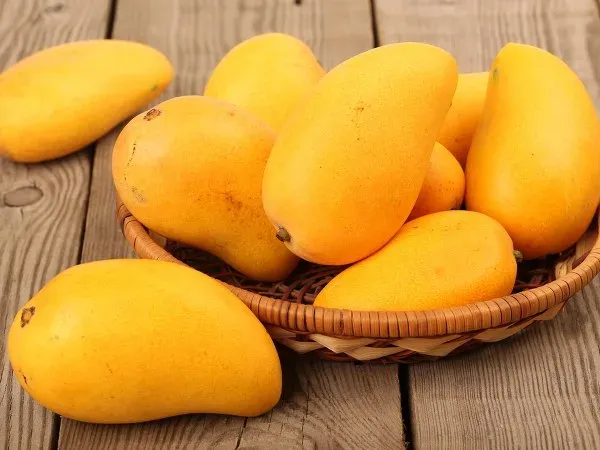 Chemically Ripened Mangoes in Hyderabad