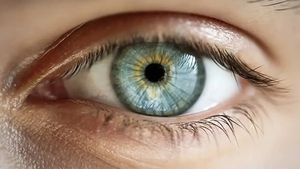 Why do eyelids swell These are the remedies