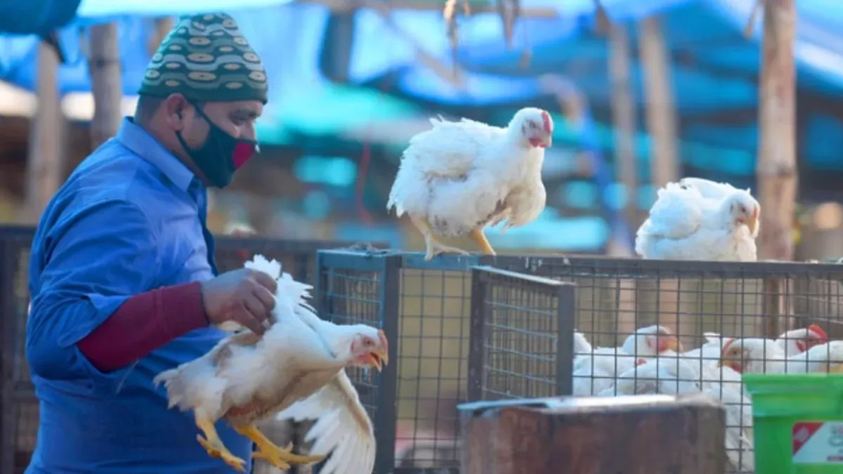 Bird Flu To Humans : మనుషులందరికీ షాకింగ్‌ న్యూస్‌.. బర్డ్‌ఫ్లూతో విద్యార్థి మరణం!