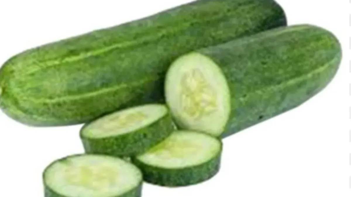 Cucumber